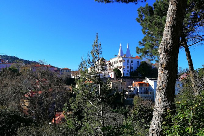Private Tour to Sintra & Pena Palace, Cascais & Roca - Price and Value at $258.30: Private Comfort Without Attraction Ticket Costs