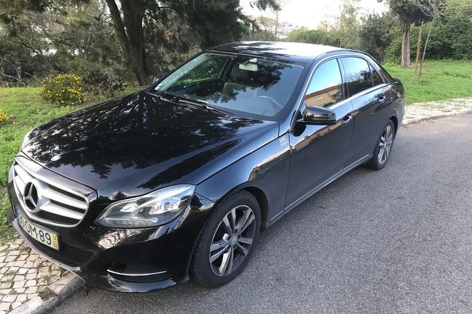 Private Transfer from Lisbon to Porto or from Porto to Lisbon - Lisbon To Porto In About 3 Hours: What You Should Plan For
