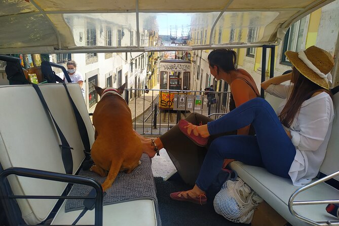 Private tuk tuk tour in old city Lisbon (Standard-1h30) - Rossio Square: statues, rail architecture, and theatre facades