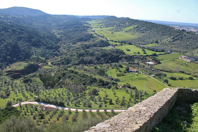 Private Wine Tasting in the Setúbal Wine Region, from Lisbon - Setúbal from Lisbon, a private day that actually teaches wine