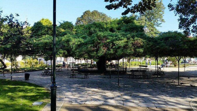 Queer Lisbon - A Treasure Hunt in LGBT History - Key Things I’d Plan Around