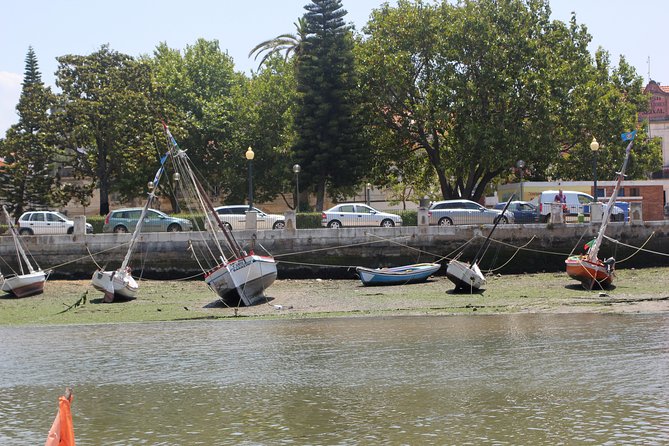 Seixal Sailing Cruise - Lunch in a typical restaurant - Music onboard and the small-group comfort