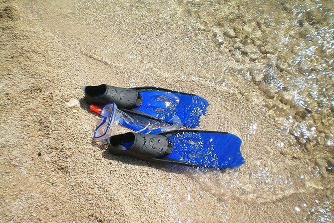 Sesimbra Wild Beach Tour from Lisbon - Price value: what you get for about $54