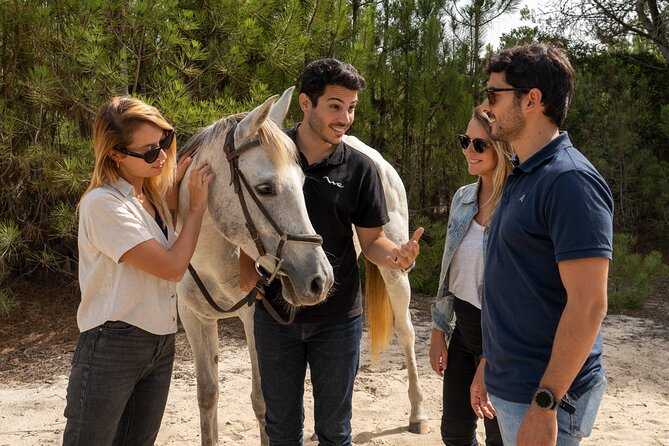 Setubal & Comporta Trip with Horseback Riding from Lisbon - Setúbal, Troia, and Comporta, in one tidy half-day