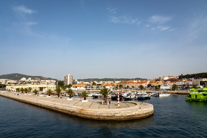 Setubal & Comporta Trip with Horseback Riding from Lisbon - Who should book this Comporta horseback trip?
