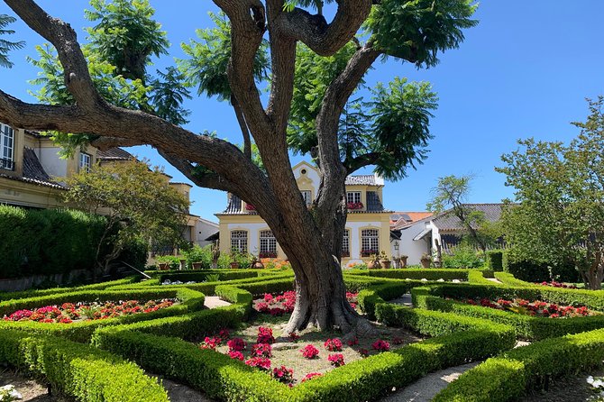 Setúbal Wine Tour with Visit and Tasting at 2 Wineries - Why Setúbal wines work as a Lisbon day trip