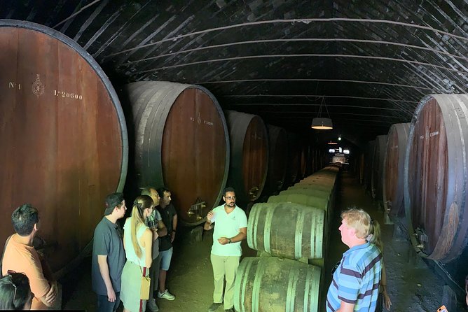 Setúbal Wine Tour with Visit and Tasting at 2 Wineries - Adega de Palmela and the Farm Catralvos alternative: the cooperative and the working edge
