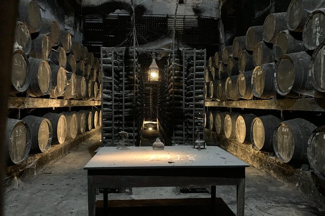Setúbal Wine Tour with Visit and Tasting at 2 Wineries - Who this Setúbal wine tour is best for
