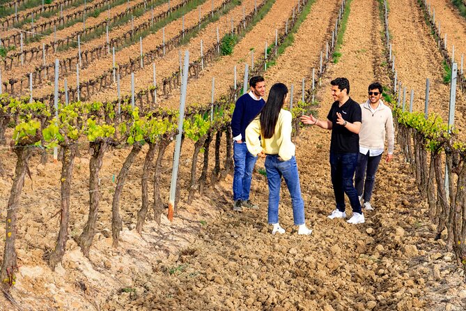 Setúbal: Winery & Fish Market Tasting Tour from Lisbon - Mercado do Livramento: wine paired with local food culture