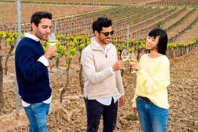 Winery & Fish Market Tasting Tour from Lisbon