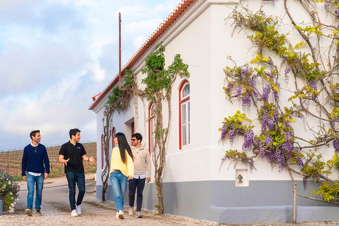Setúbal: Winery & Fish Market Tasting Tour from Lisbon - Jesus Convent and São Filipe Castle: the Setúbal finale with real payoff