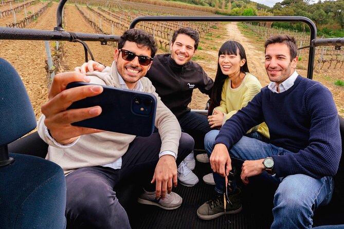 Setúbal: Winery & Fish Market Tasting Tour from Lisbon - Who this tour fits best