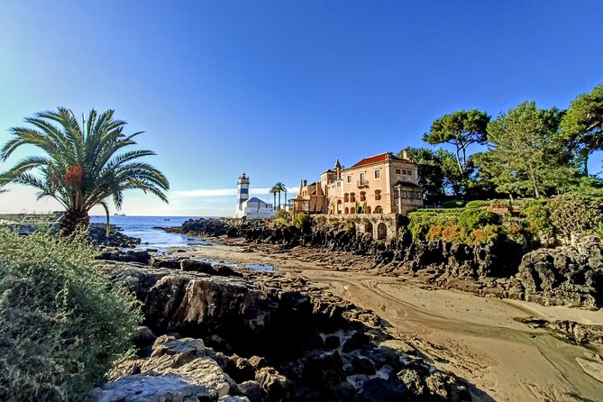 Sintra and Cascais and Hidden Places Experience - Stop 3: Colares Wine Region and the Phylloxera Survivor Cellar