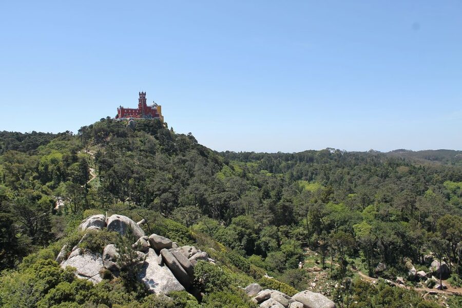 Sintra and Cascais: Full-Day Private Sightseeing Tour - Drive Through Sintra National Park, Then Head Toward the Coast
