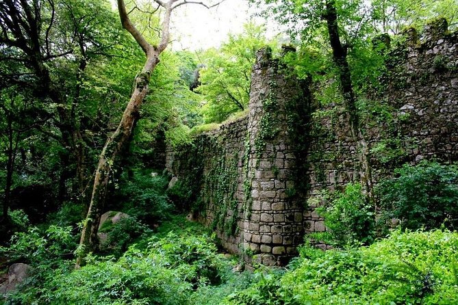 Sintra And Cascais Private Tour : Let us put Sintra in your Heart - Price and Value: What You Pay for, What You Still Need to Budget