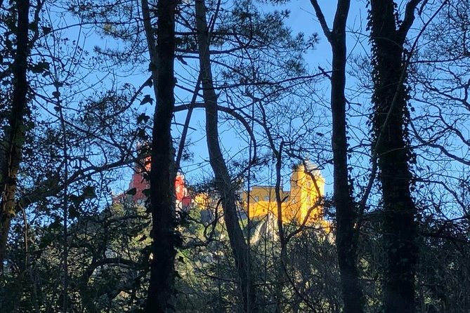 Sintra Cabo da Roca Cascais Estoril Private Tour - Pickup, Timing, and the Practical Value of an 8-Hour Tour