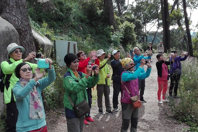 Sintra Full-Day: Pena, Moorish Castle & Regaleira with Tickets - Drive-by sightseeing: Seteais Palace and the Monserrate photo pause