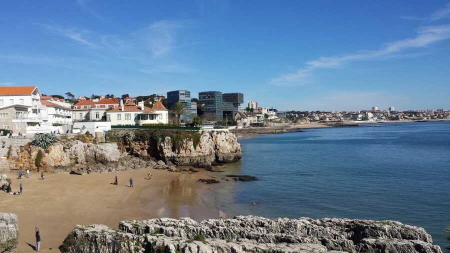 Sintra: Full-Day Tour from Lisbon with Wine Tasting - A Stop for Wine Tasting and Regional Specialties