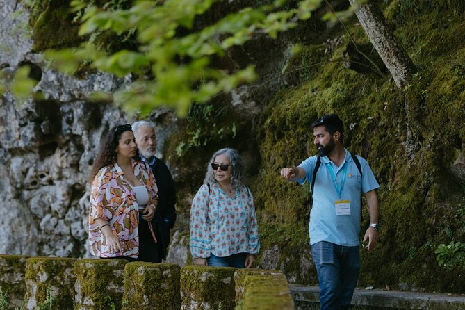 Sintra, Pena Palace and Quinta da Regaleira from Lisbon - Weather and comfort tips that change everything