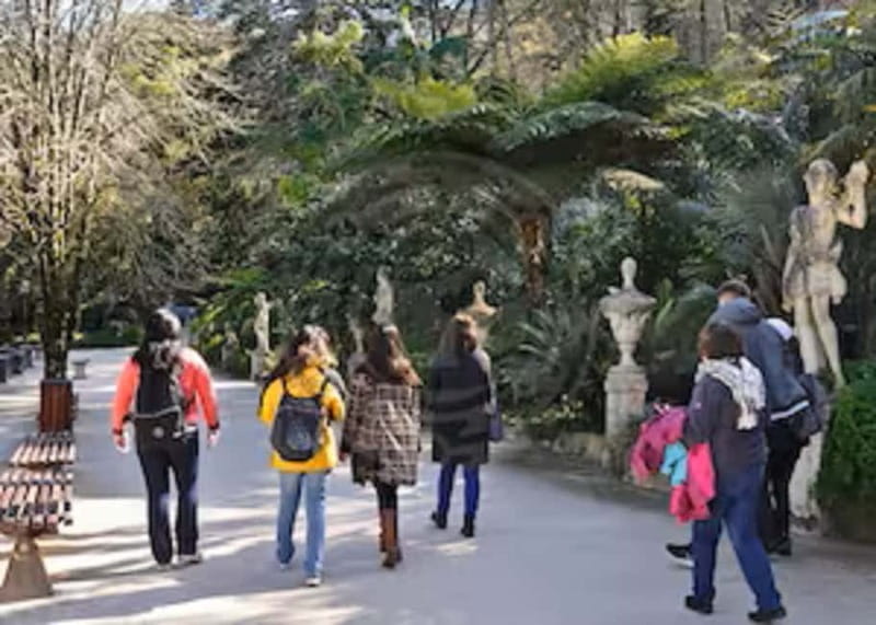 Sintra Private Walking Tour & Quinta da Regaleira - Price and Value: Is $353 Per Person Worth It?