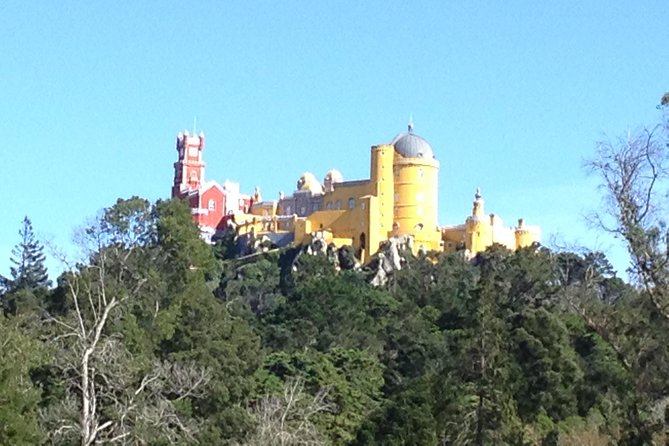 Sintra Tour 8h - Pena Palace Park and National Palace: The Ticket Game That Makes or Breaks Your Day