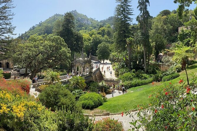 Sintra Tour from Lisbon - Entrances included - The Colares wine-country drive: a quick detour with real context