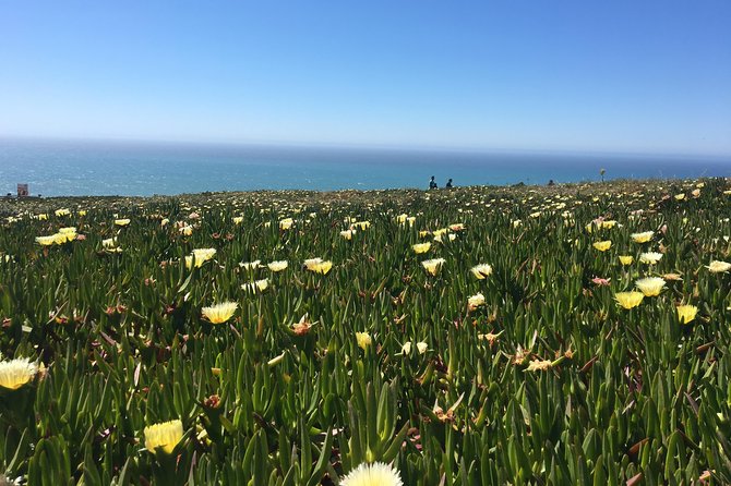 Sintra Tour with Pena Palace and Regaleira All Tickets Included - Cabo da Roca: Europe’s westernmost cliffs for a strong finish