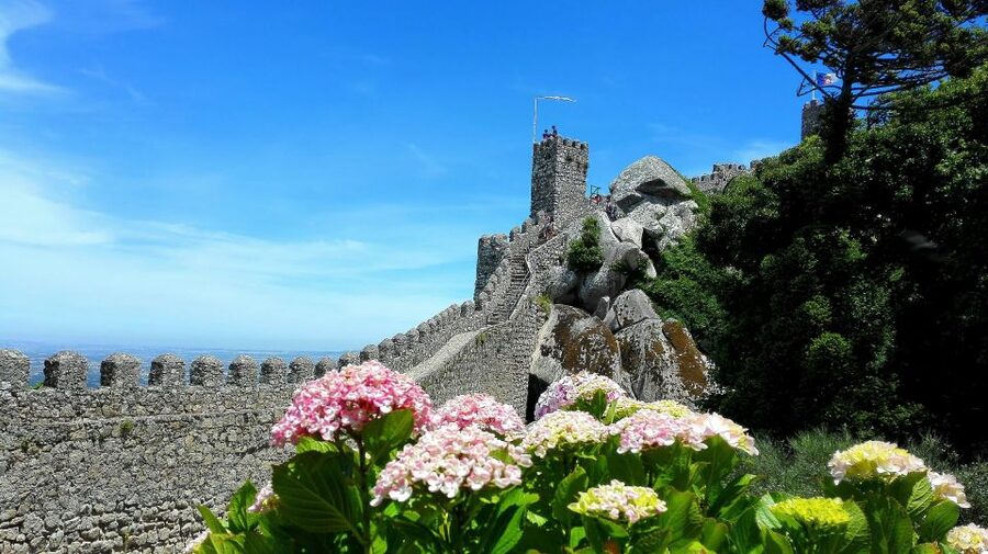 Sintra: Truly Private Tour to Pena Palace & Regaleira - Should You Book This Sintra Private Tour?