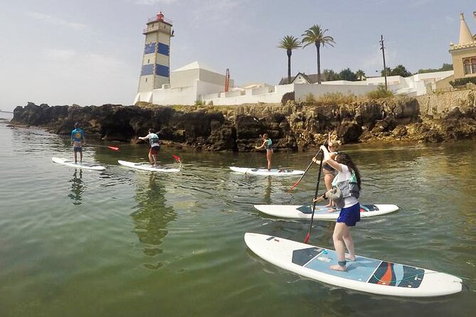 Stand Up Paddle Boarding Lesson of Cascais Bay - The guide setup: small group energy in the water