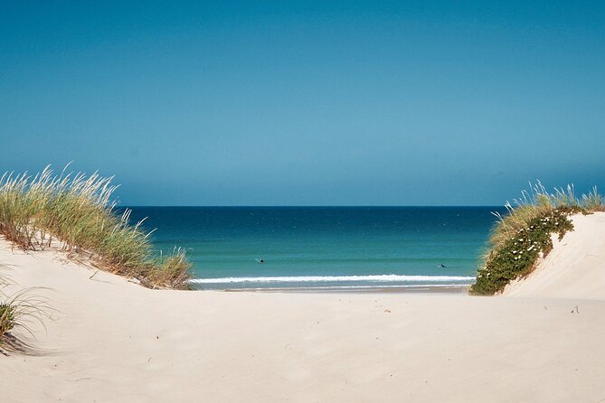 Surf Courses In Peniche and Baleal Portugal - Key highlights worth knowing