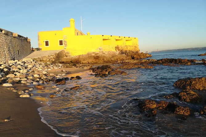 Tagus River Heritage and Traditional Lunch Bicycle Tour - Price and value for $108.02, plus the free admission detail