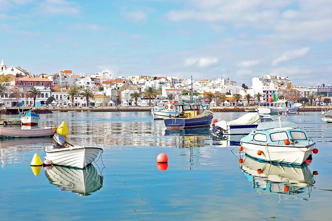 Transfer from Lisbon to Algarve (Direct) - The Driver Factor: Antonio, Francisco, Luis, and the Ones People Keep Praising