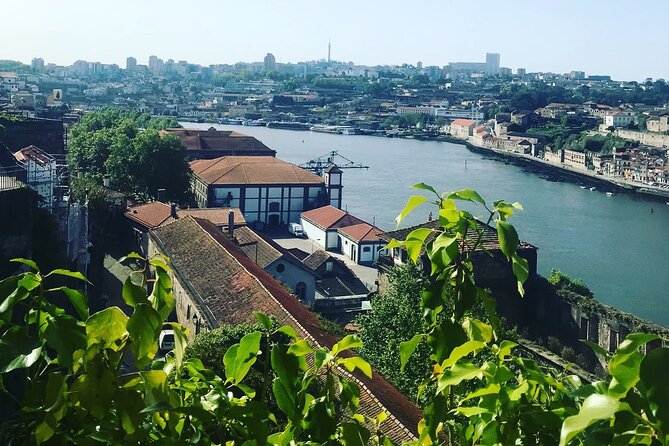 Transport Lisbon/Porto Porto/Lisbon with 2 optional stops - Comfort That Actually Matters in a 5-Hour Ride