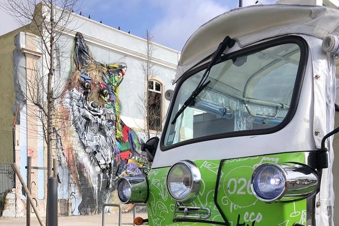 Tuk Tuk Lisbon: Exploring Urban Art - Santa Apolónia and the Pichi&Avo sculptural mural