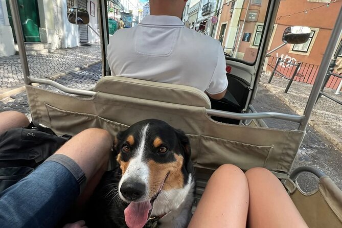 Tuk-Tuk Lisbon Tour 1 - 3hours - Walking Alfama for real, with a taste along the way