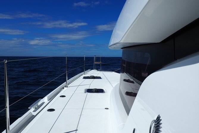 VIP Catamaran Private Tour in Lisbon up to 18 clients - National Museum of Ancient Art and the art museum rhythm
