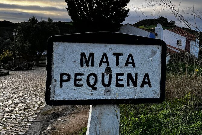Visit to Queluz Palace and Mafra Convent - Private Tour - Ericeira as Your Lunch and Sea-Breeze Break, Surf Town Past to Present
