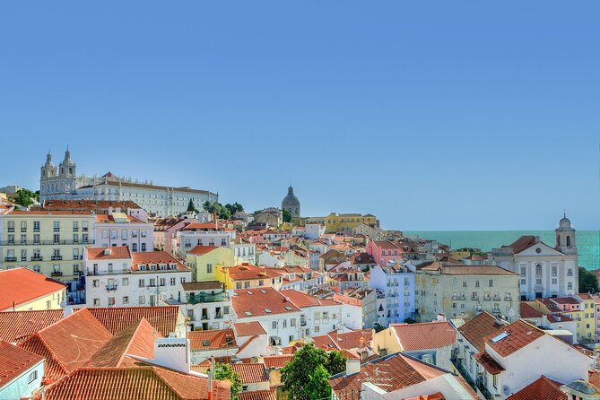 Walking & Vegan Food tour - Best for whom, and what might not fit