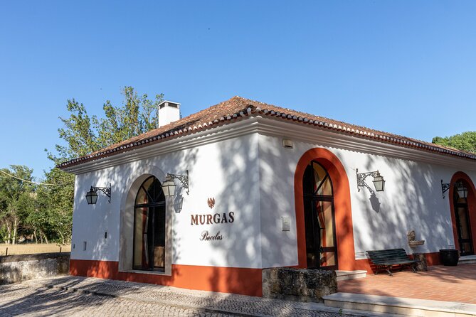 Wine tasting at Quinta das Murgas - Vertical tasting of Murgas DOC Bucelas: three vintages, one wine identity