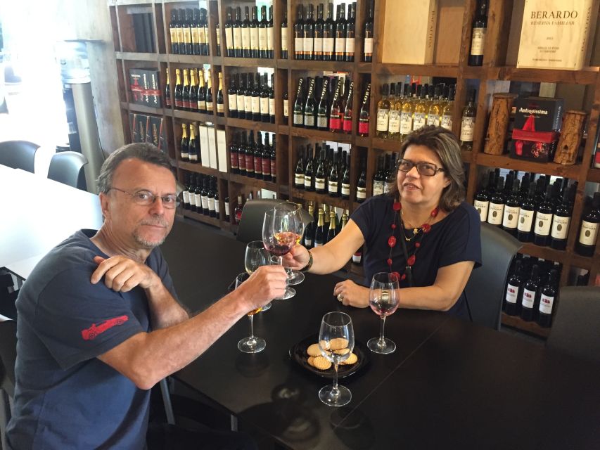 Wine Tasting - Private Half-Day Tour - Should you book this Lisbon District wine and views tour?