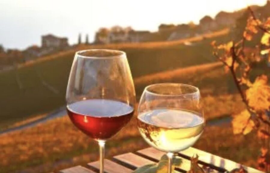 Wine Tasting - Private Half-Day Tour - Private pickup in Lisbon, then straight to Setúbal wine country
