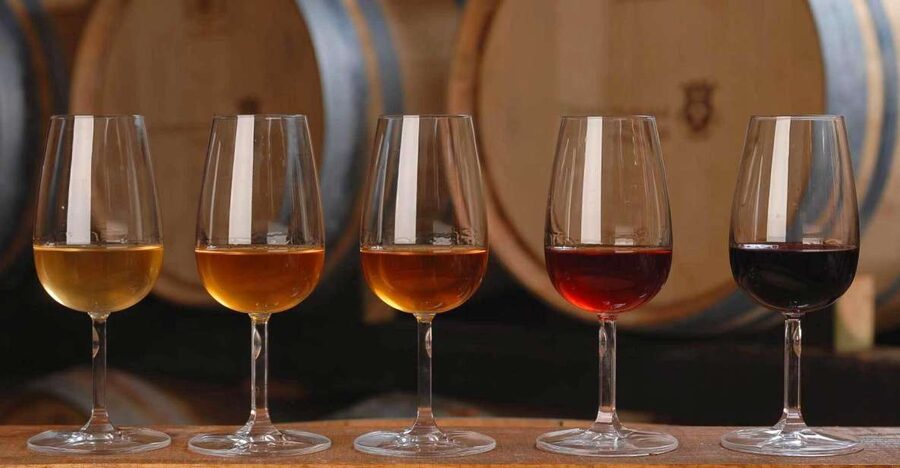 Wine Tasting - Private Half-Day Tour - Price and value at about $206 per person