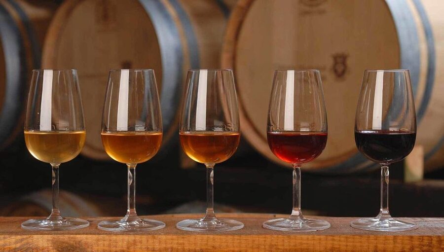 Wine Tasting - Private Half-Day Tour - Tips for shoes, choosing tiles vs Arrabida, and enjoying the compressed schedule